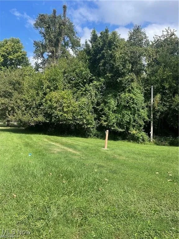 View of grassy yard