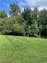 View of grassy yard