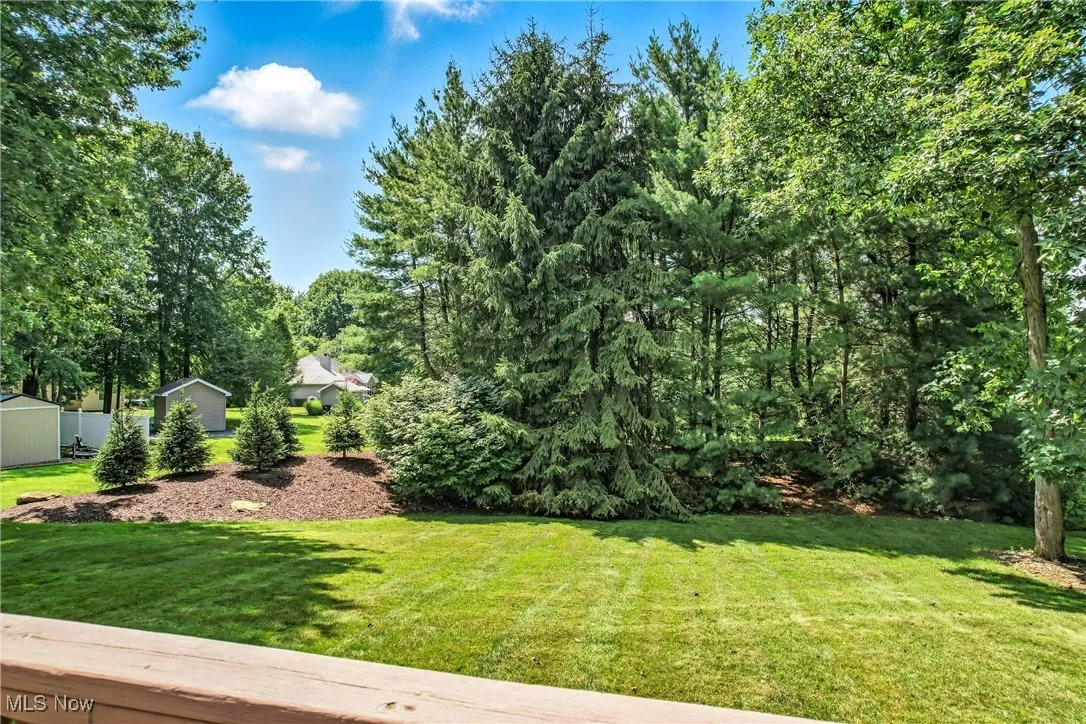 View of green lawn