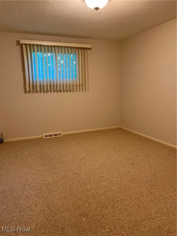 Spare room featuring carpet and a textured ceiling