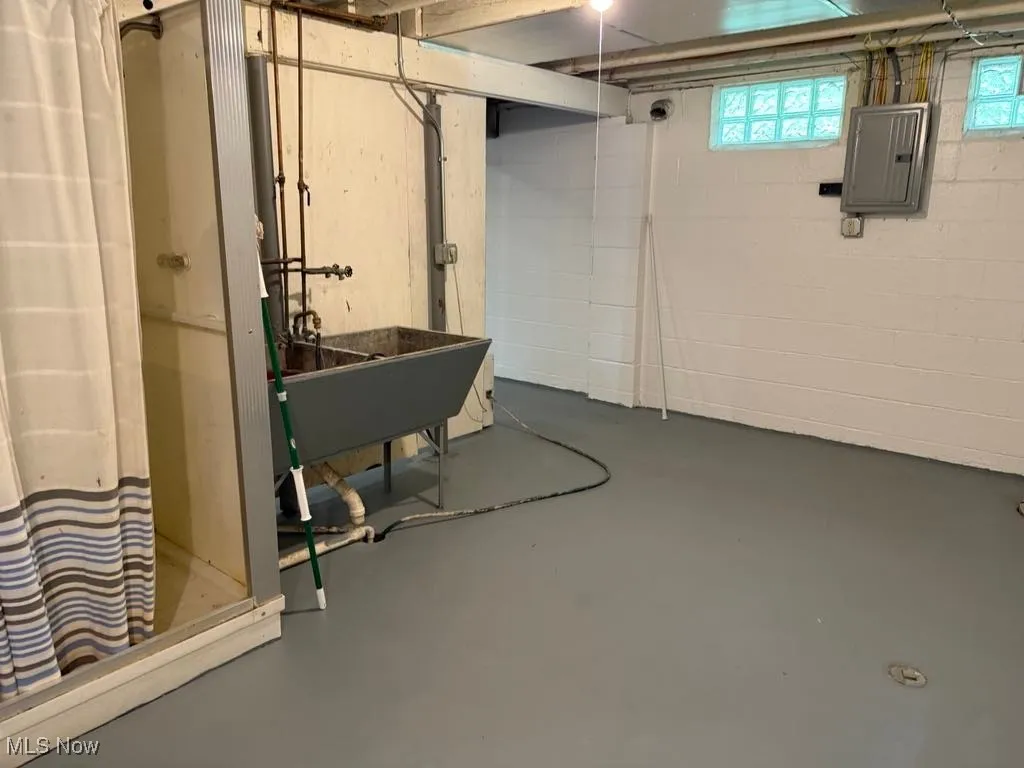 Basement with electric panel and a sink
