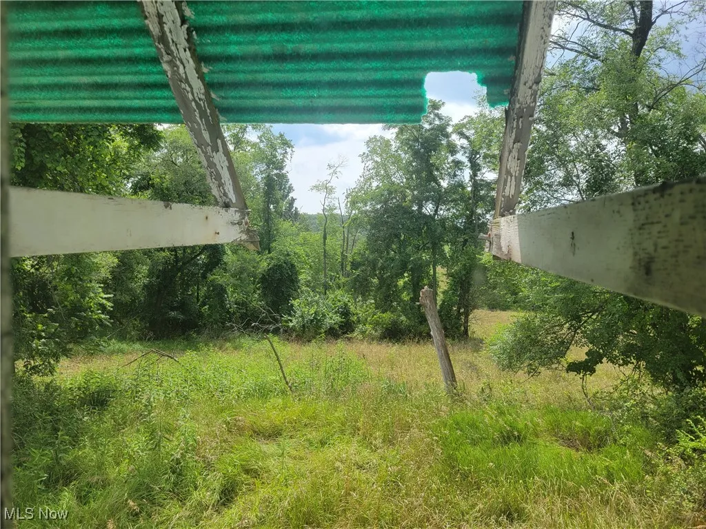 View of rear yard
