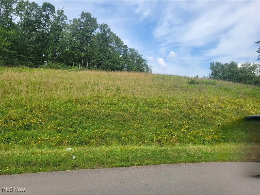View of undeveloped land