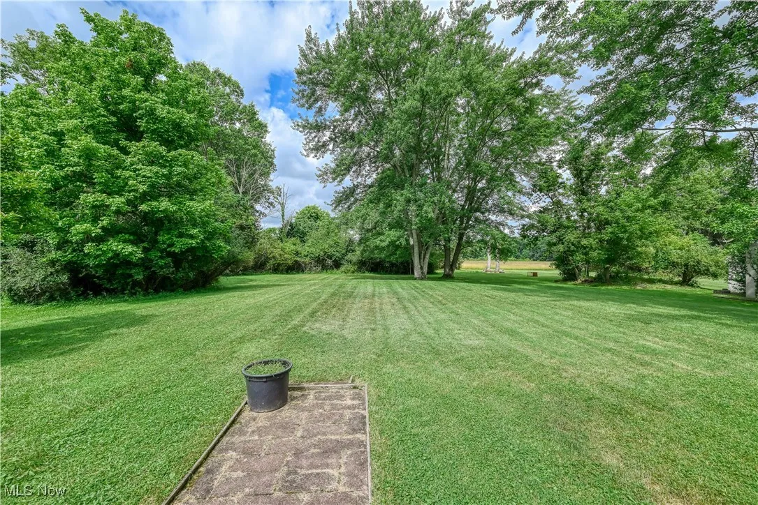  Yard view from back porch