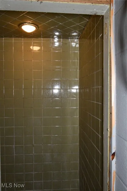 Bathroom Shower in basement