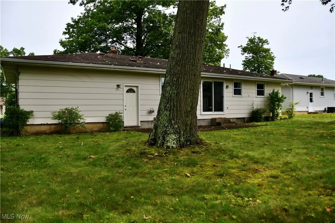 Rear view of property featuring a yard and a chimney