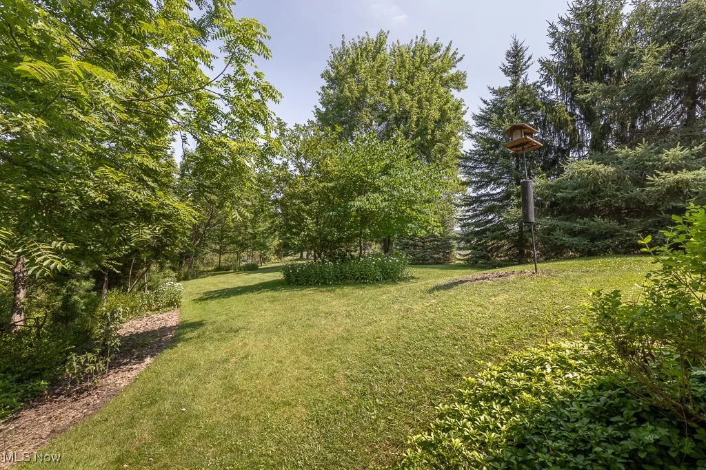 View of grassy yard