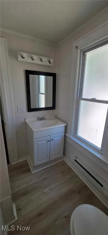 Bathroom featuring ornamental molding, a baseboard heating unit, vanity, lvt floors, and healthy amount of natural light