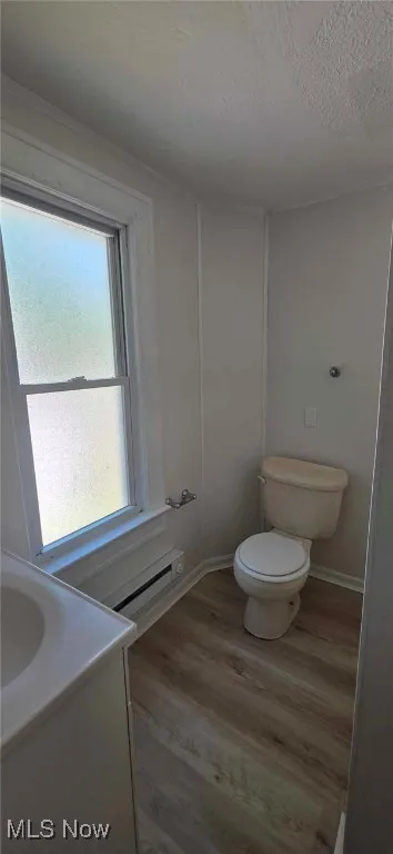 Bathroom featuring plenty of natural light, lvt floors, vanity, and a textured ceiling