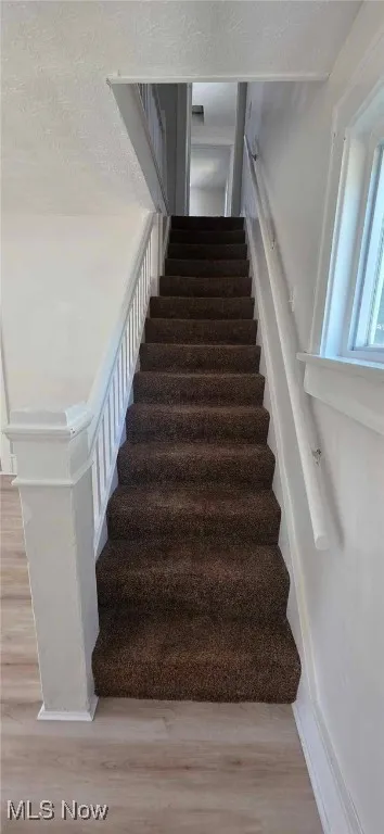 Staircase with carpet