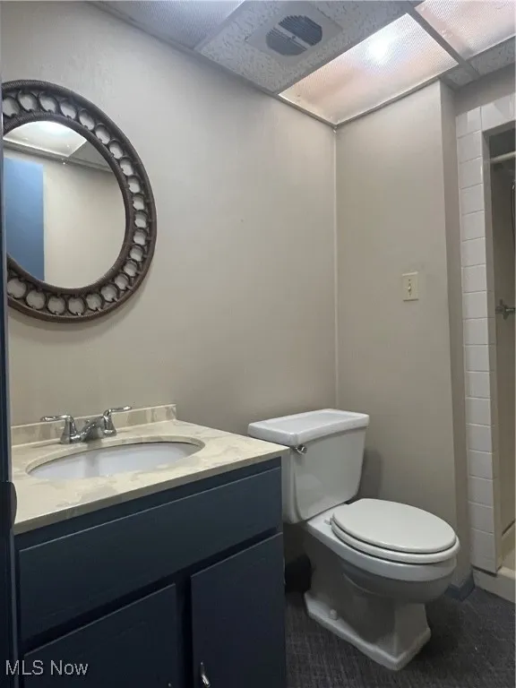 Basement bathroom featuring vanity and a shower