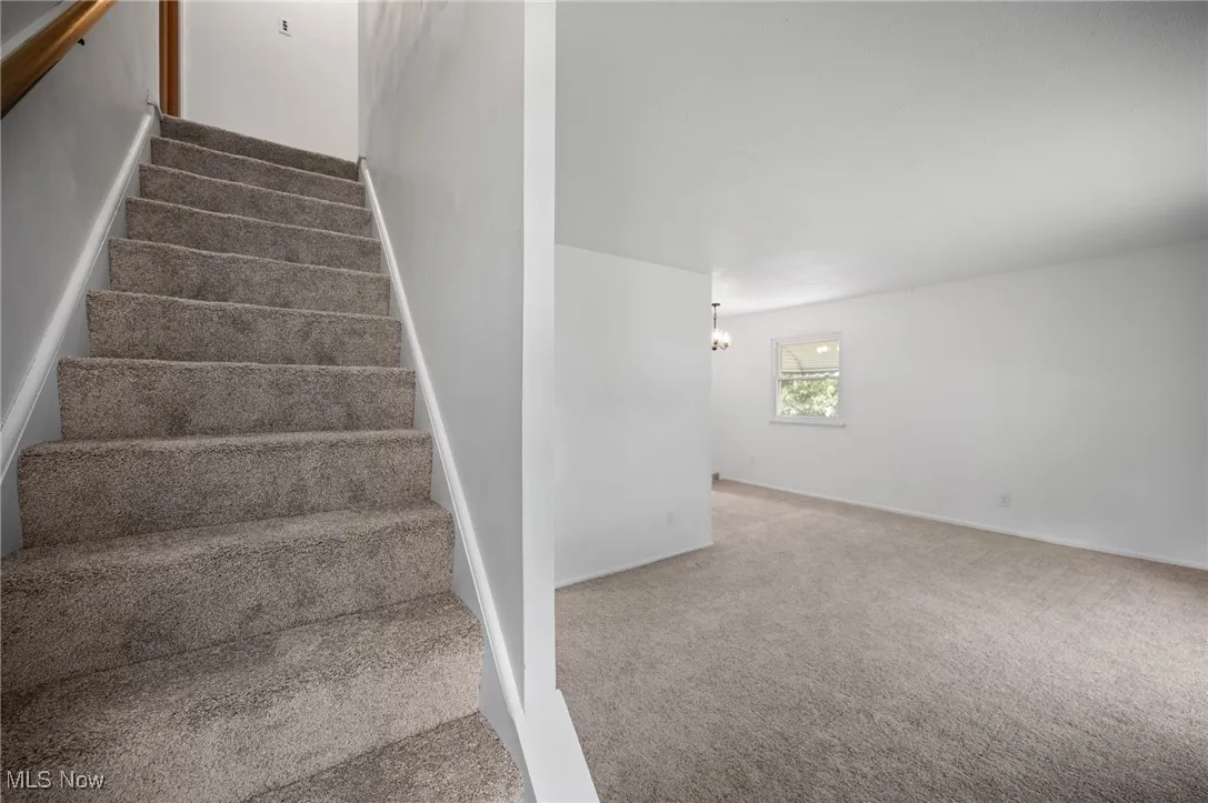 Stairway featuring carpet and baseboards