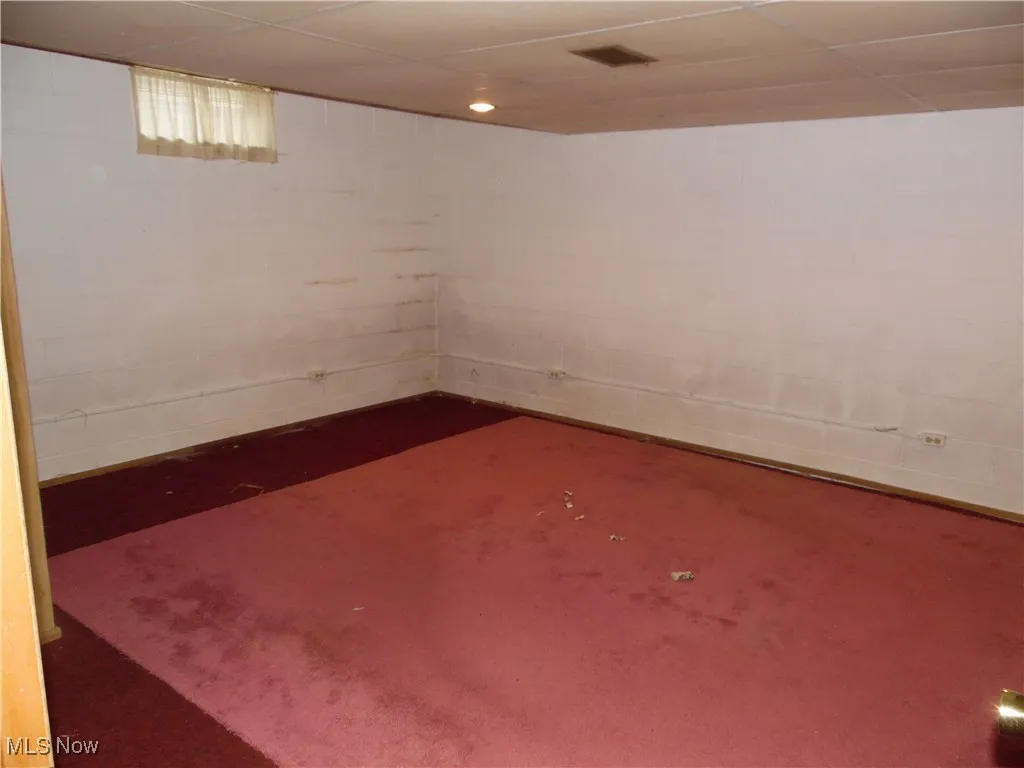 Finished basement featuring a paneled ceiling and carpet floors