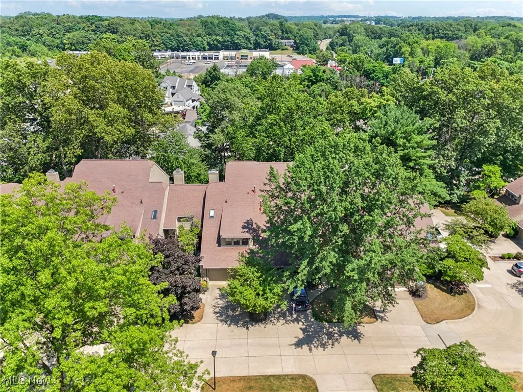 Aerial view of the condo