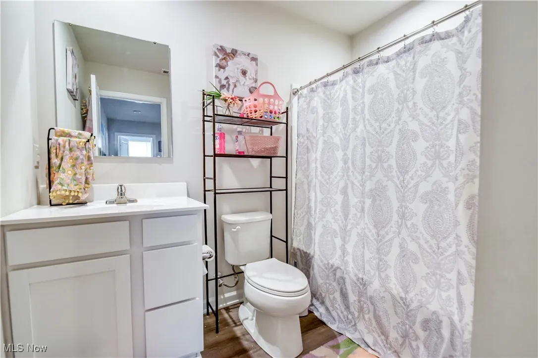Bathroom featuring vanity, wood finished floors, and curtained shower