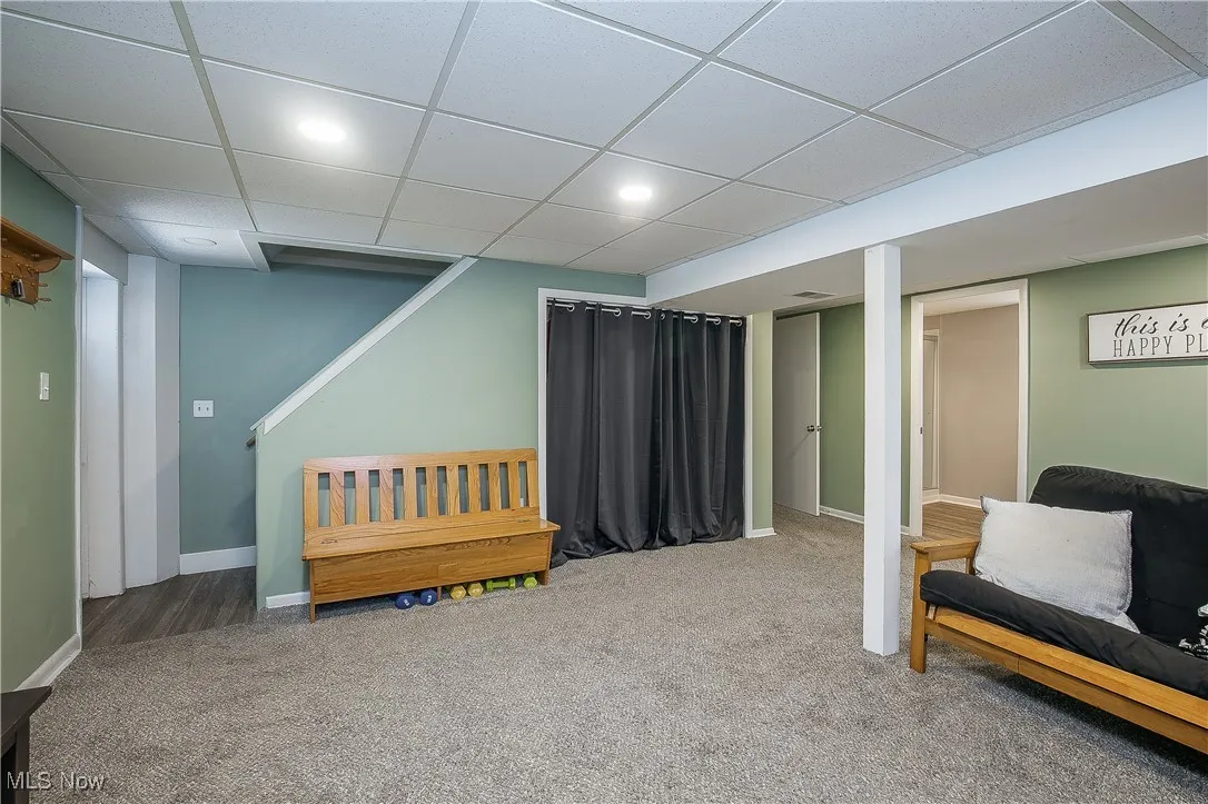 Lower Level Family Room