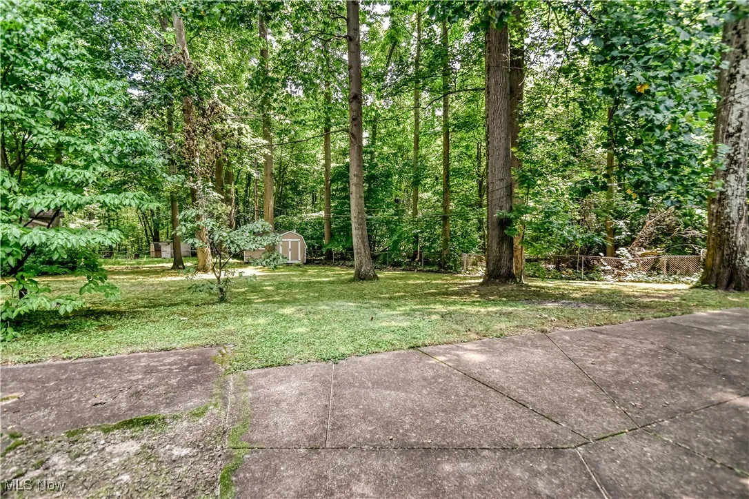 View of grassy yard featuring a storage unit and a forest view