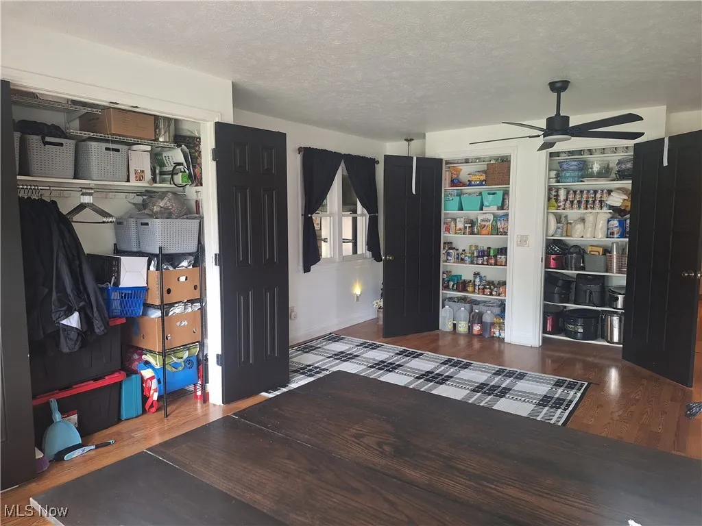 Kitchen Pantries and coat/storage closet