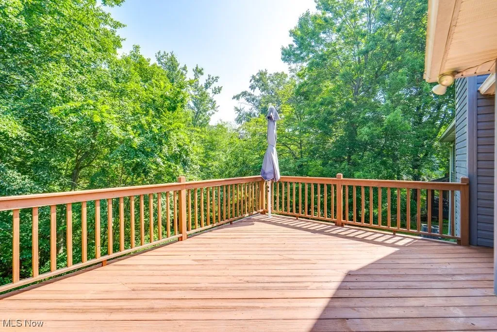 1007 Dale Drive, Wooster, Ohio,MLS Now Listing ID