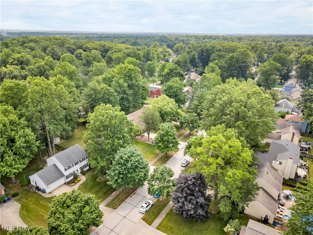 Aerial perspective of suburban area featuring a heavily wooded area