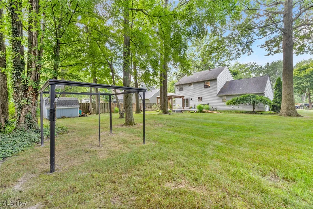 BACKYARD AND STORAGE SHED