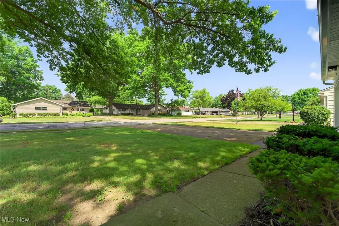 Front Yard
