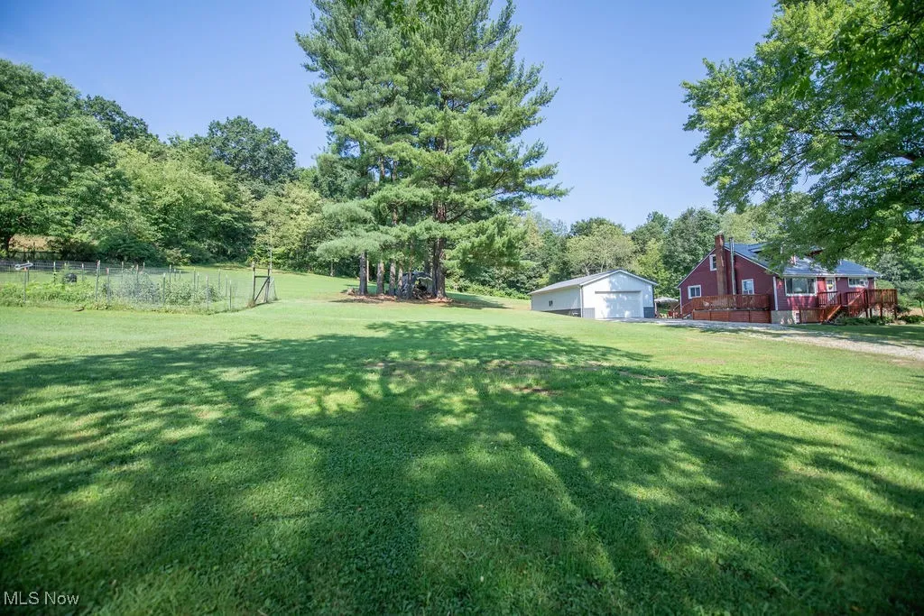 View of yard area