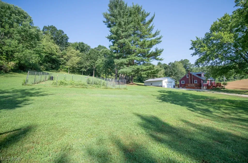 View of yard area