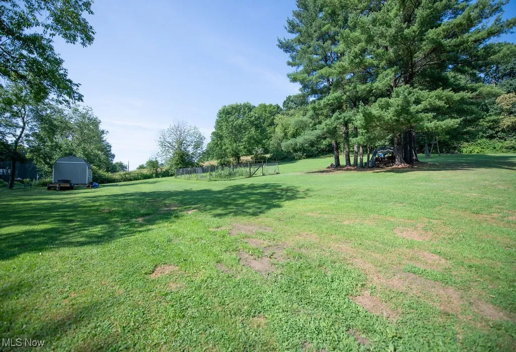 View of yard area