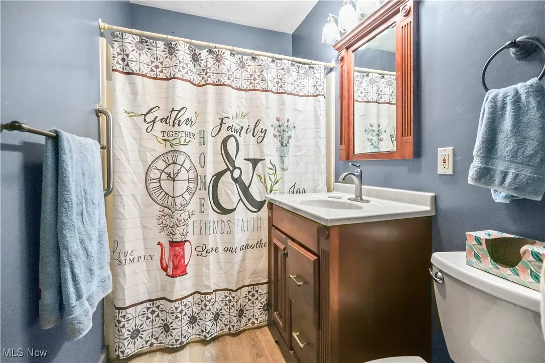 Bathroom featuring vanity, wood finished floors, and curtained shower