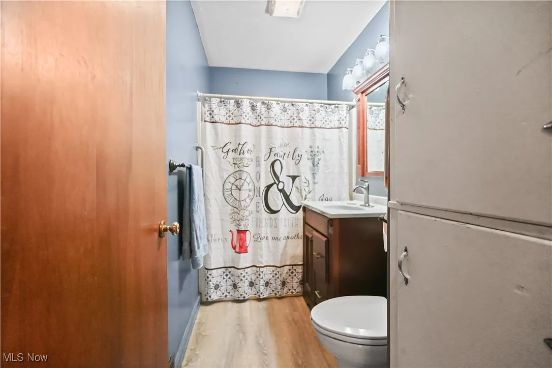 Bathroom featuring vanity, wood finished floors, and a shower with shower curtain