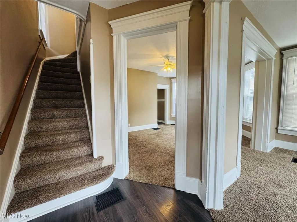 Stairway featuring carpet, a ceiling fan, and wood finished floors