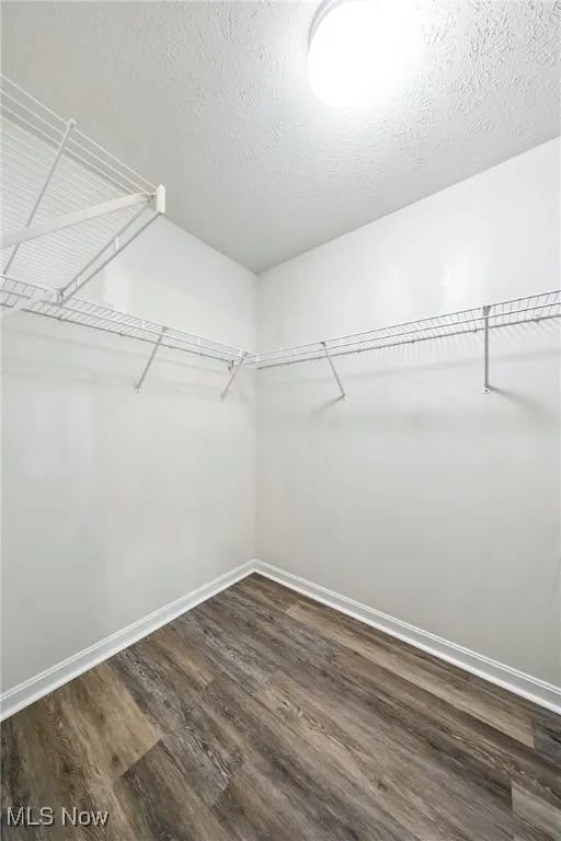 Spacious closet featuring wood finished floors