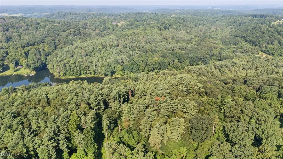 Aerial overview of property's location featuring a heavily wooded area and a large body of water