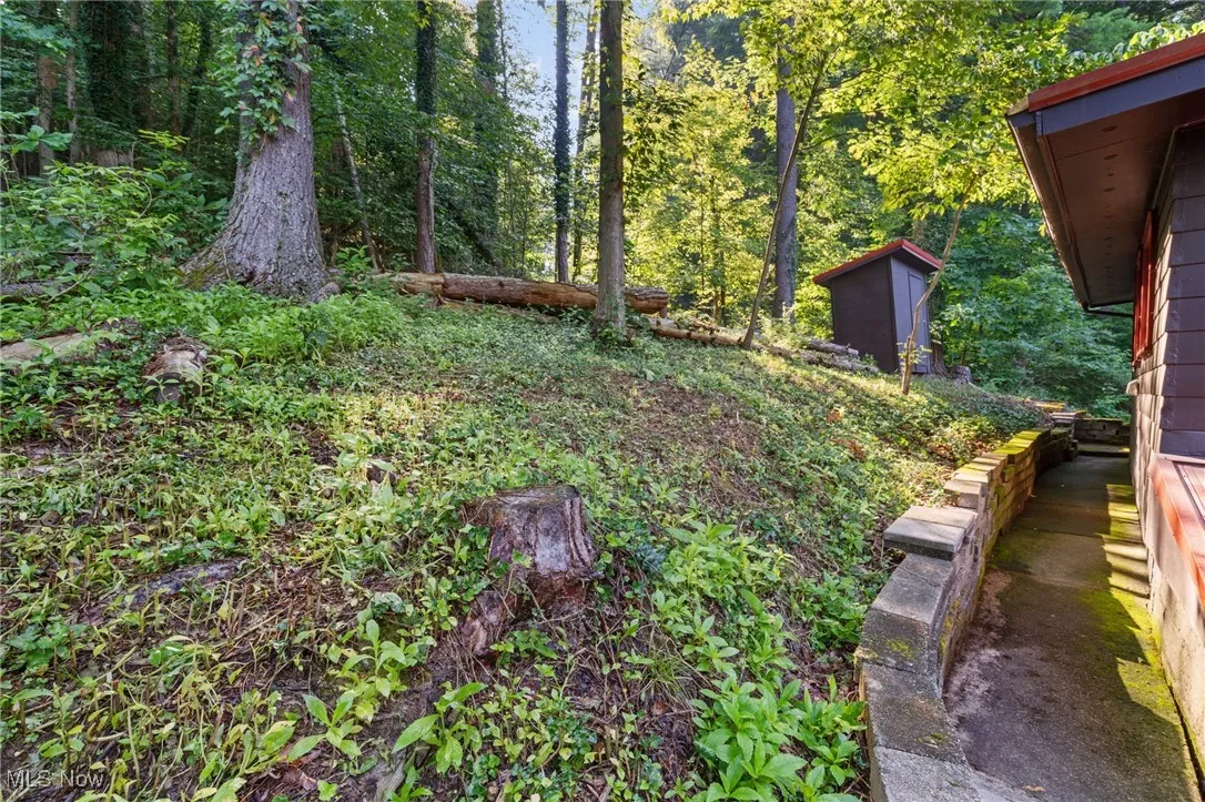 View of yard featuring a storage unit and a wooded view