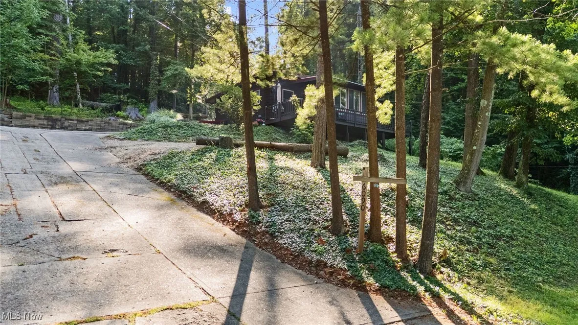 View of yard featuring a wooden deck