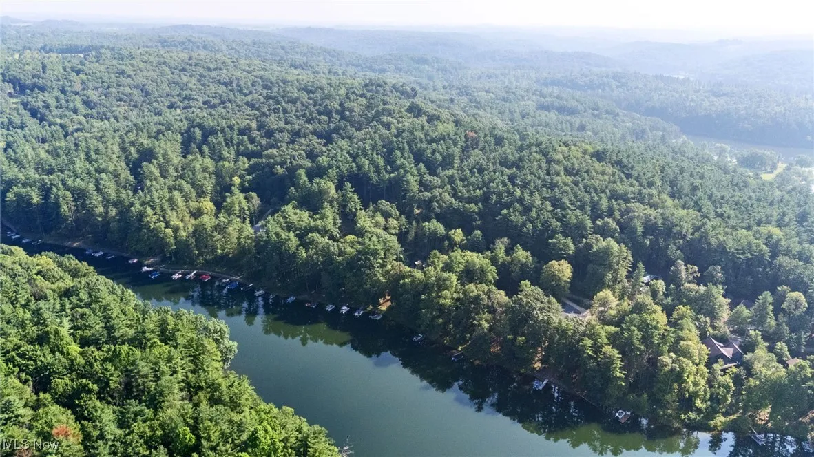 Drone / aerial view of a heavily wooded area