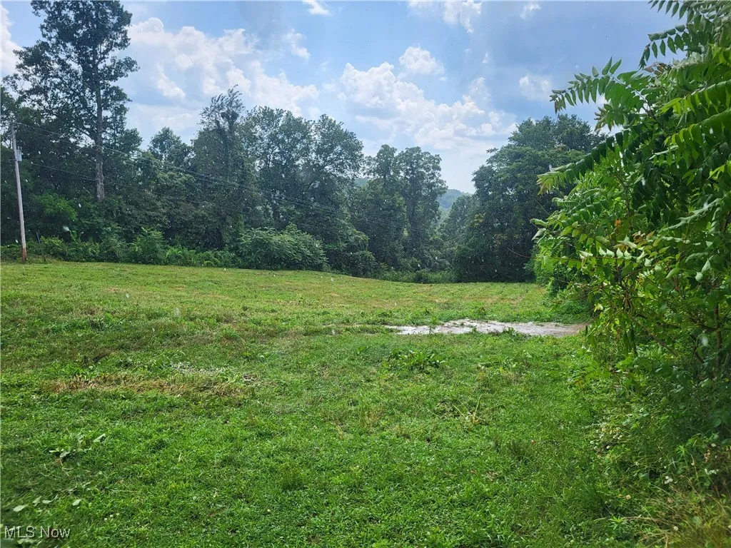781 Downing Road, Stockport, Ohio,MLS Now Listing ID