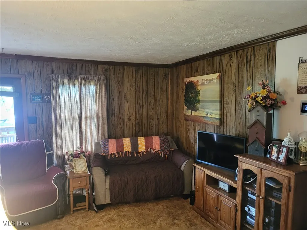 781 Downing Road, Stockport, Ohio,MLS Now Listing ID
