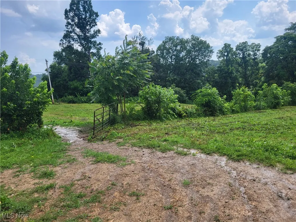781 Downing Road, Stockport, Ohio,MLS Now Listing ID