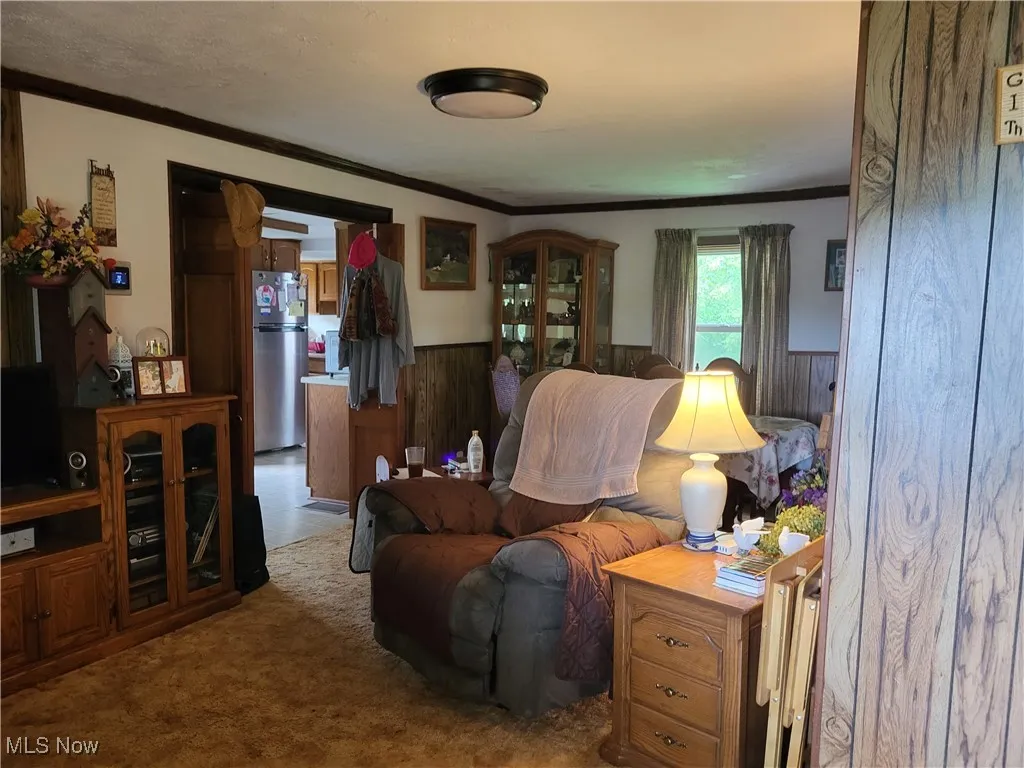 781 Downing Road, Stockport, Ohio,MLS Now Listing ID