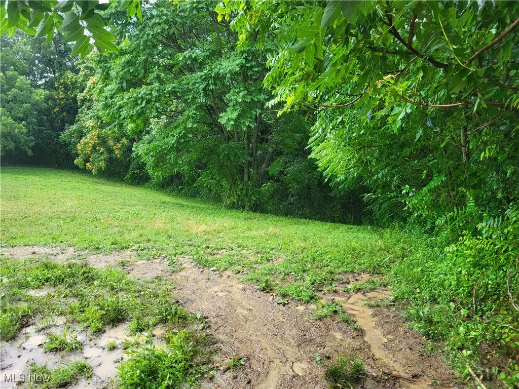 781 Downing Road, Stockport, Ohio,MLS Now Listing ID