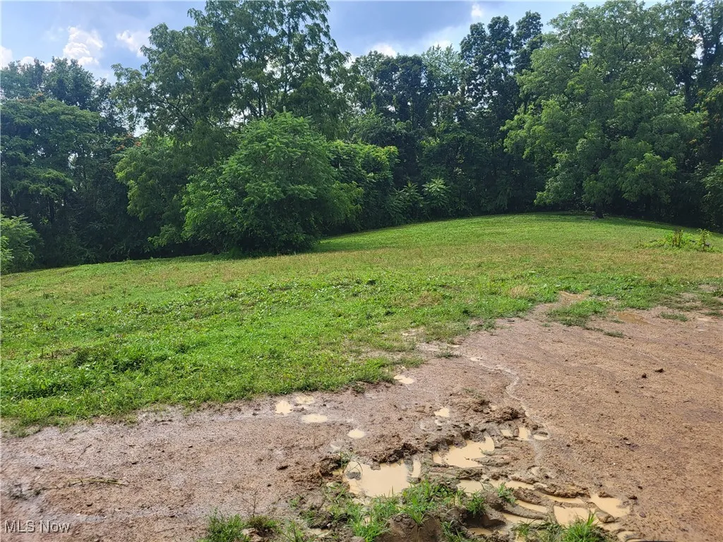 781 Downing Road, Stockport, Ohio,MLS Now Listing ID