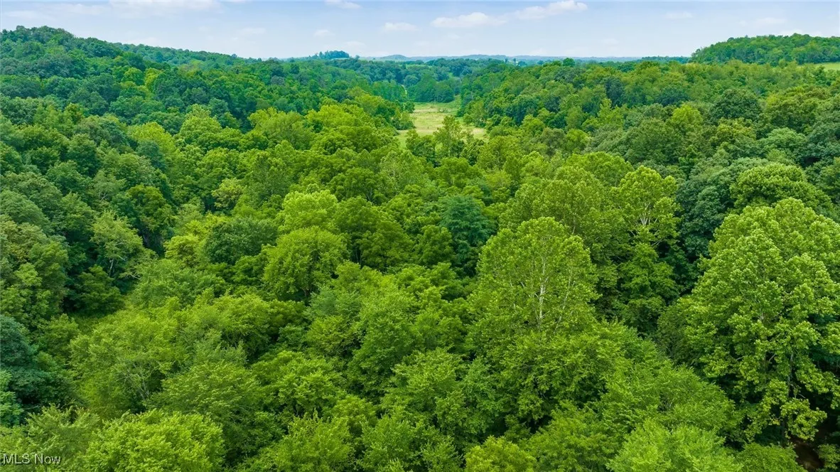 Crawford Lane, New Concord, Ohio,MLS Now Listing ID