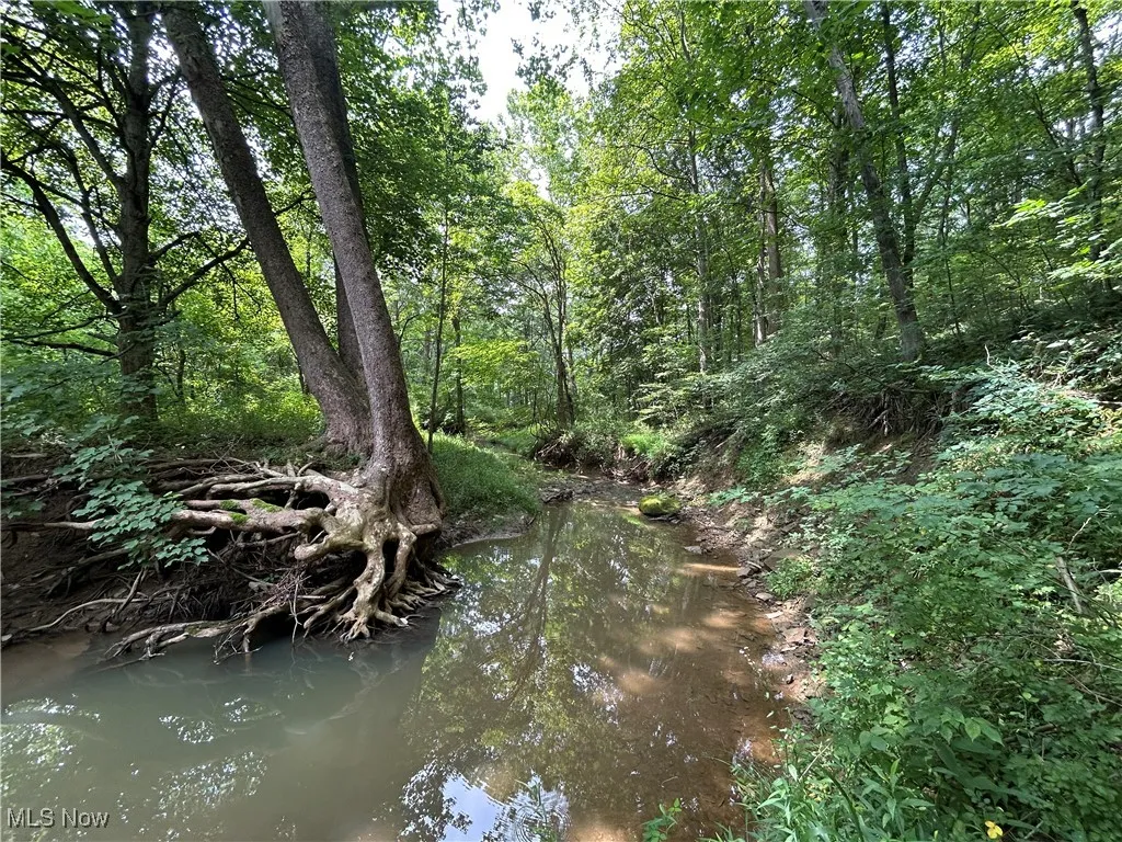 Crawford Lane, New Concord, Ohio,MLS Now Listing ID