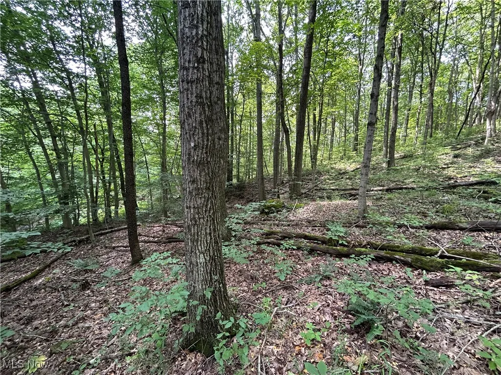Crawford Lane, New Concord, Ohio,MLS Now Listing ID
