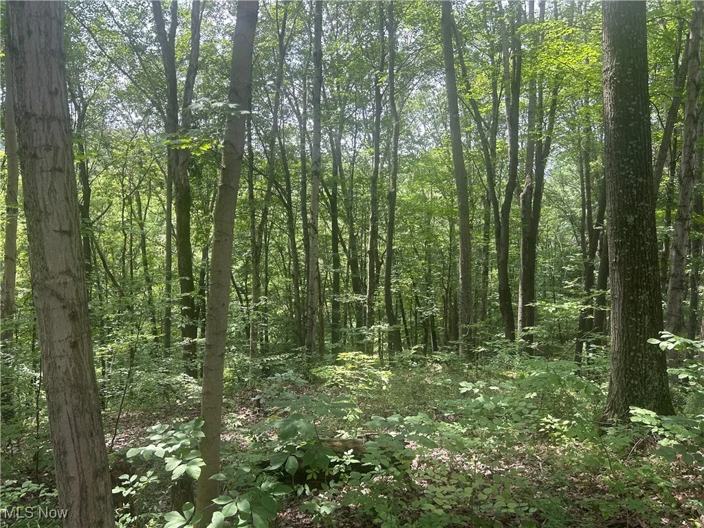 Crawford Lane, New Concord, Ohio,MLS Now Listing ID