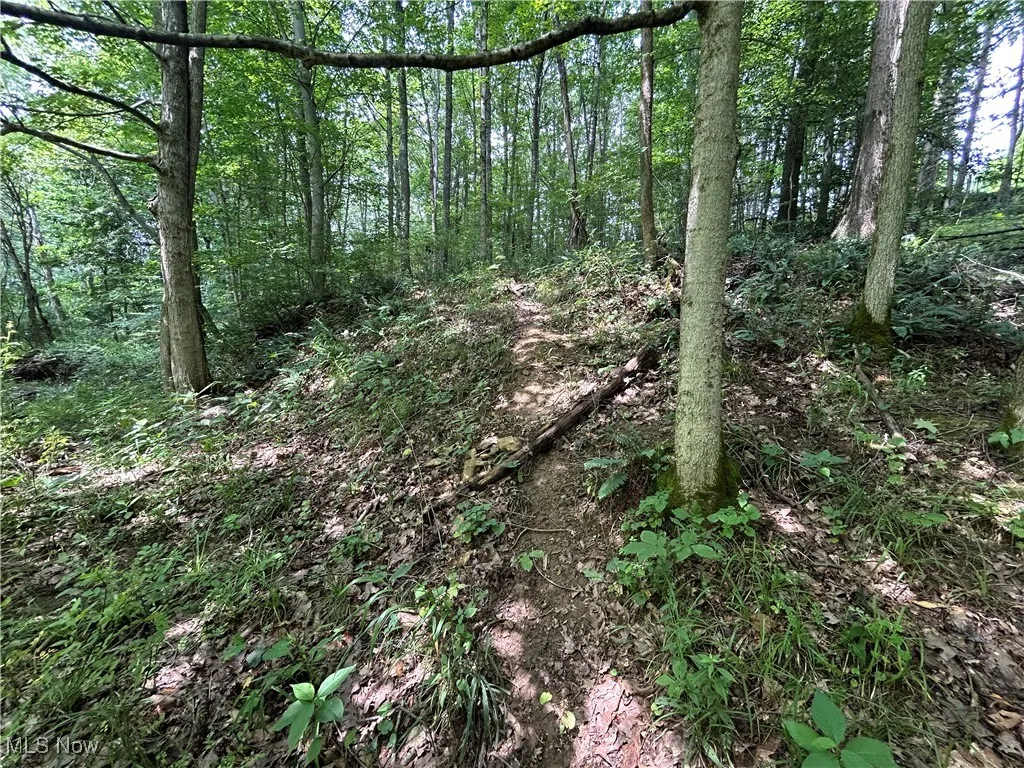 Crawford Lane, New Concord, Ohio,MLS Now Listing ID