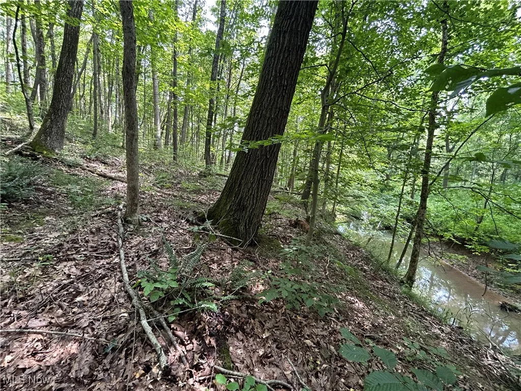 Crawford Lane, New Concord, Ohio,MLS Now Listing ID
