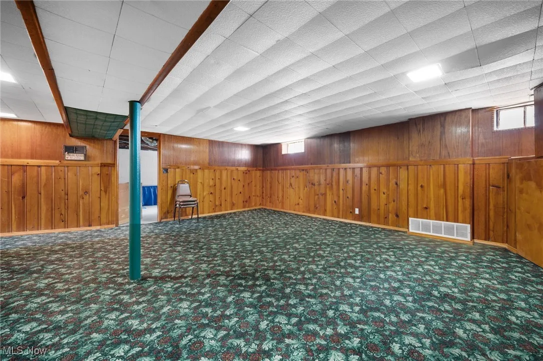 Basement with wooden walls and carpet